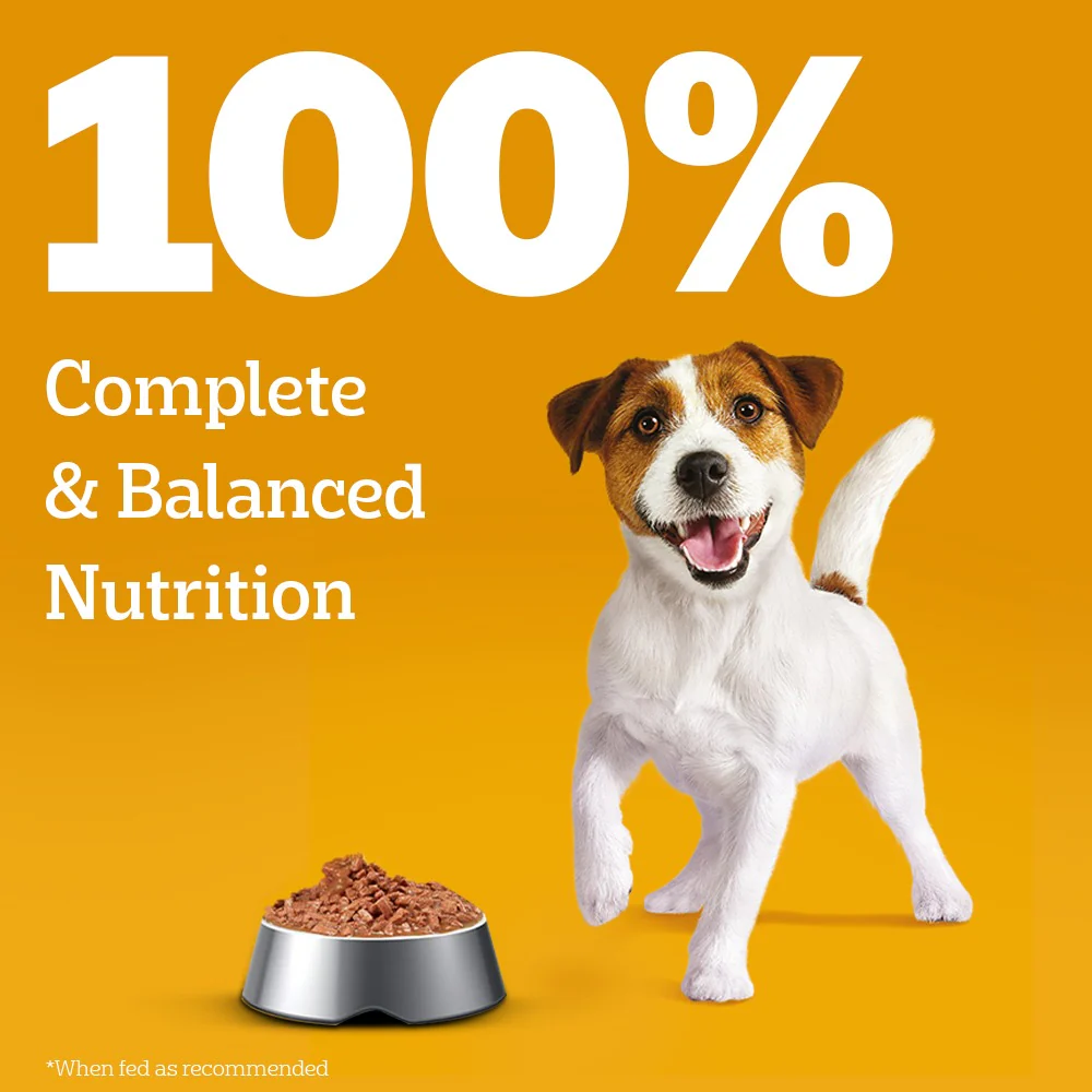 Pedigree Dog Food Combo |100% Vegetarian Dry & Chicken & Liver Wet - Image 27