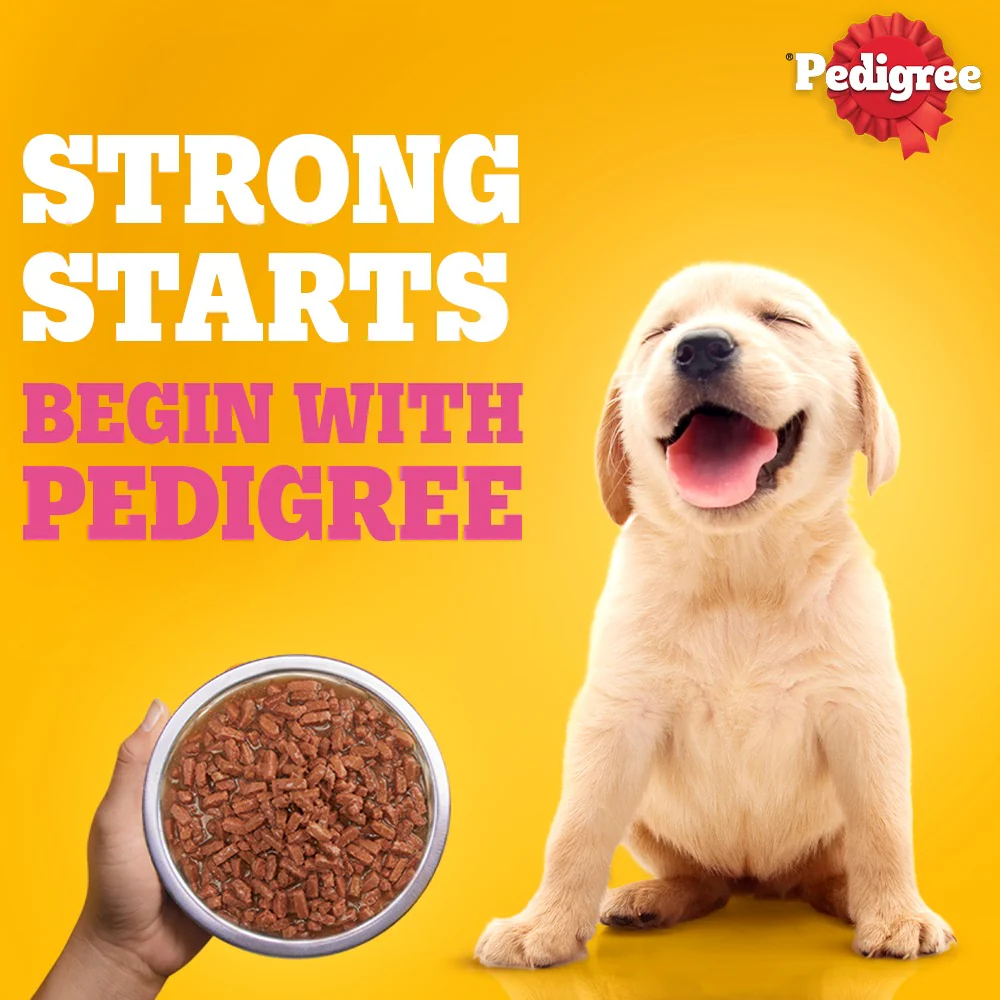 Pedigree Dog Food Combo |100% Vegetarian Dry & Chicken & Liver Wet - Image 28