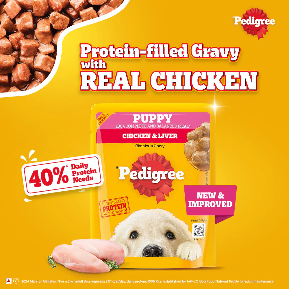 Pedigree Dog Food Combo |100% Vegetarian Dry & Chicken & Liver Wet - Image 43