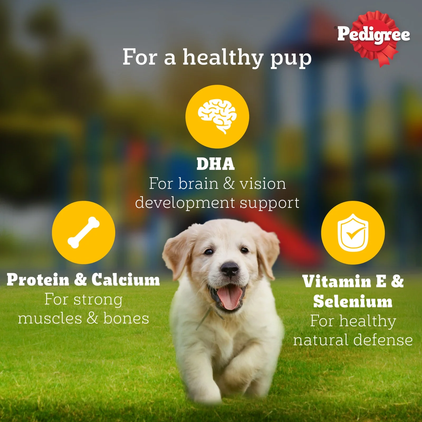 Pedigree Puppy Dog Food Combo |Meat & Milk Dry & Chicken & Liver Wet - Image 26