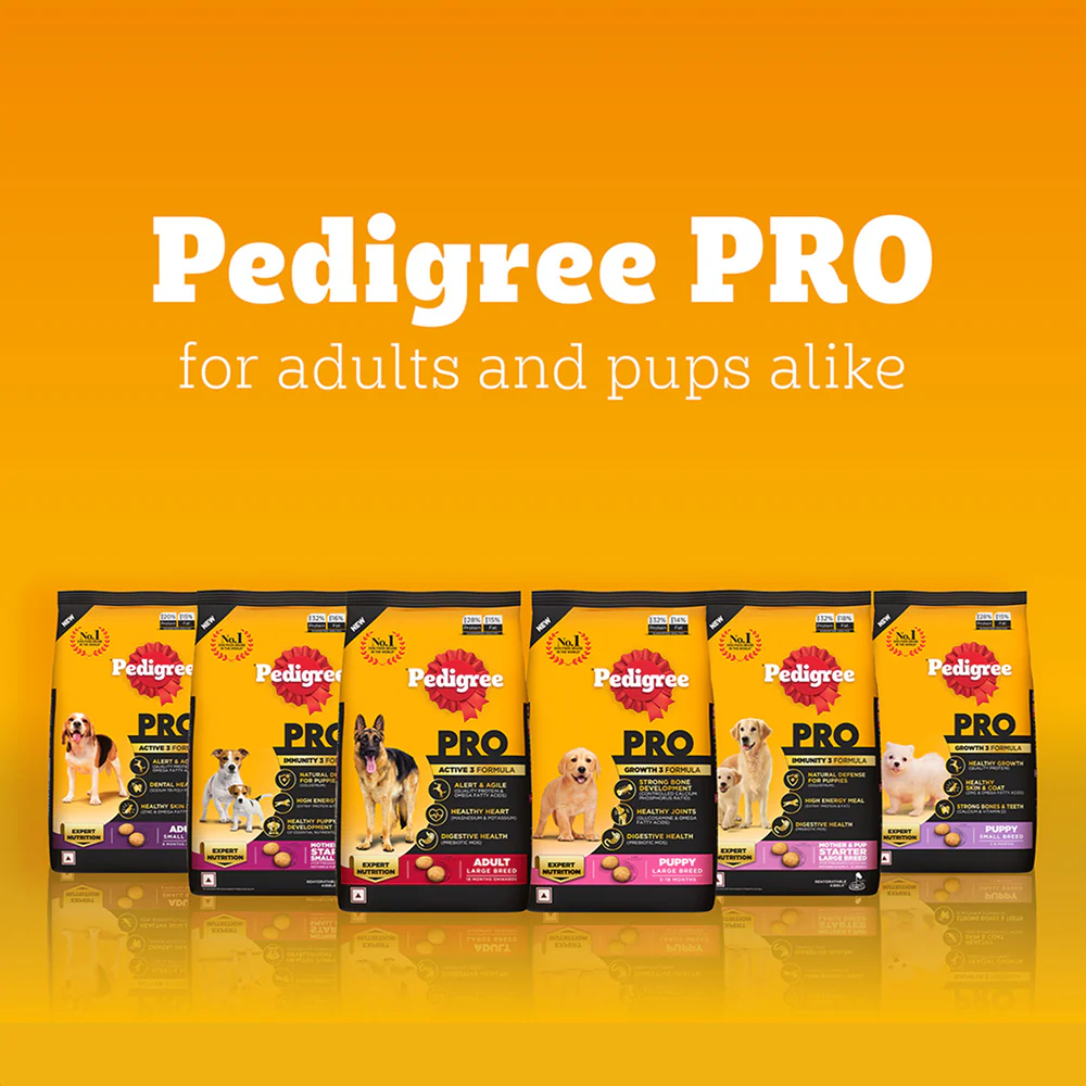 Pedigree PRO Expert Nutrition Active Adult (18 Months Onwards) Large Breed Dog Dry Food - Image 15