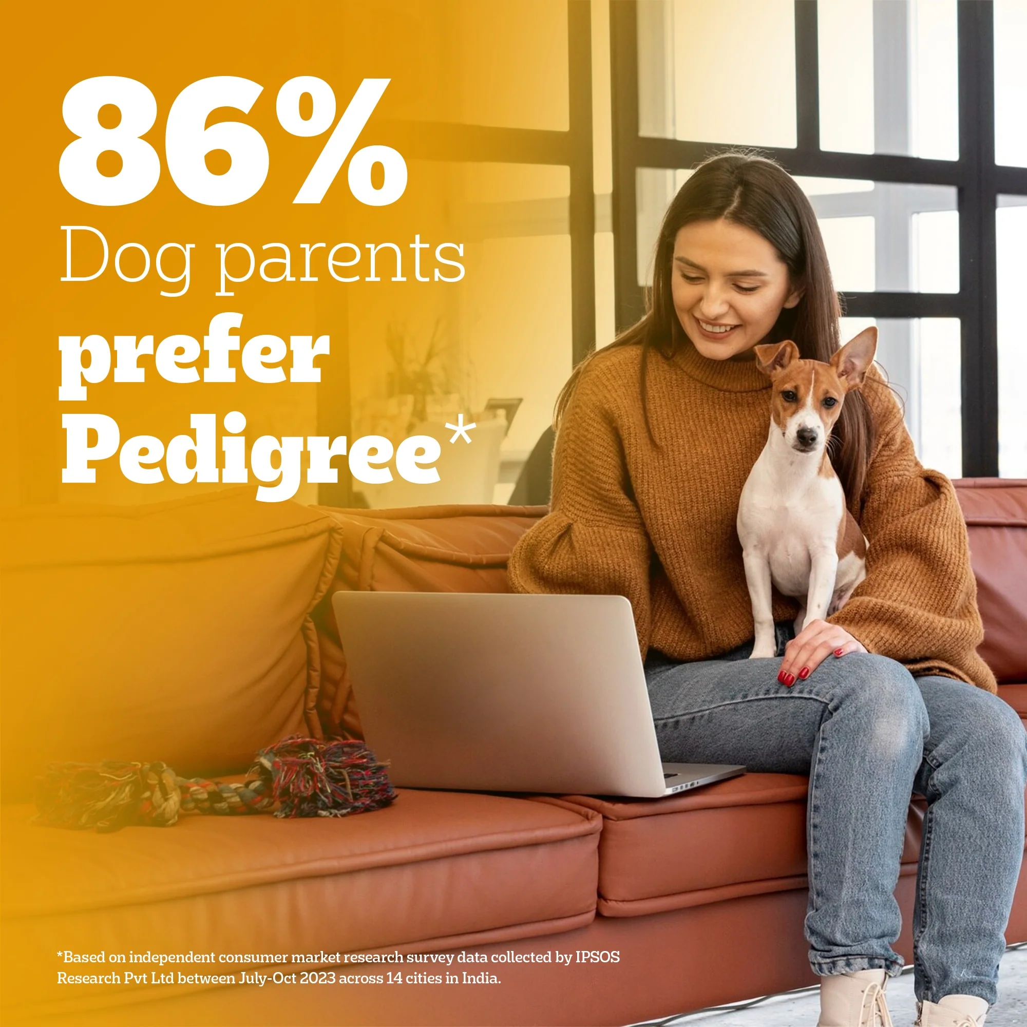 Pedigree Puppy Dog Food Combo |Meat & Milk Dry & Chicken & Liver Wet - Image 41