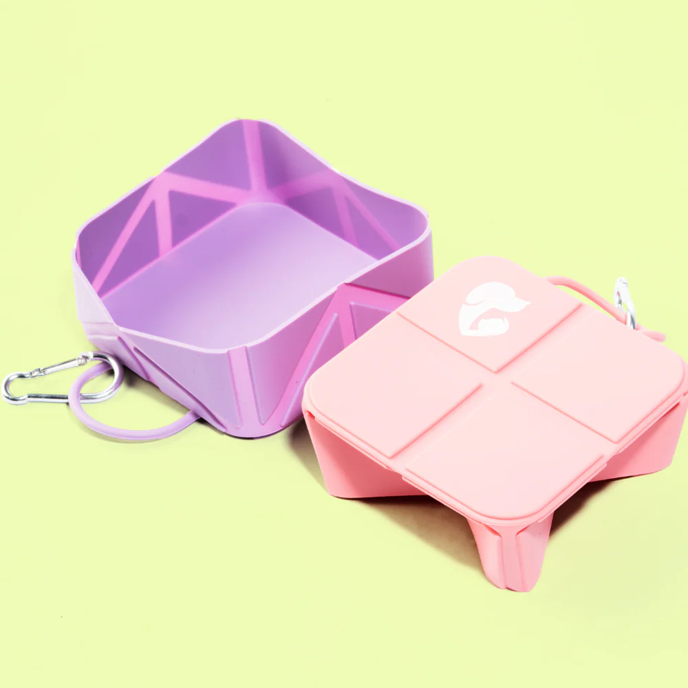Pet Set Go  Foldable Square Bowl for Dogs (Purple) - Image 6
