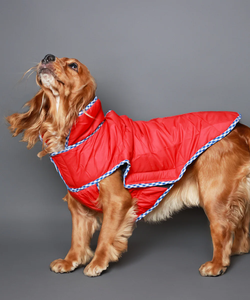 Pet Set Go Wind Sheeter Jackets for Dogs (Red)
