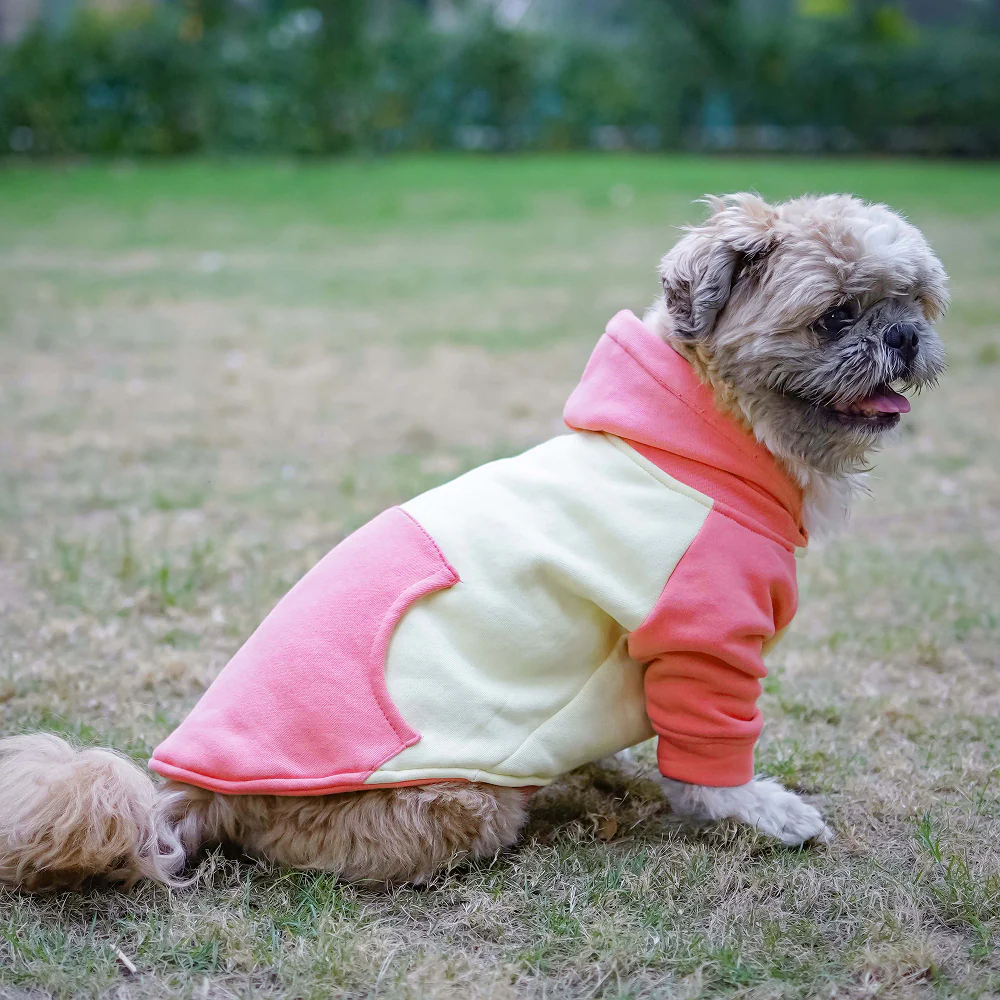 Pets Way Icy Peak Winter Sweatshirt for Dogs (Pink)