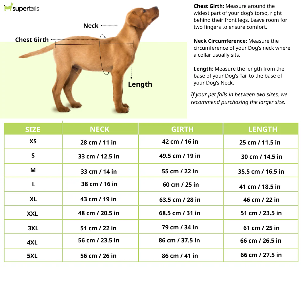 Pets Way Superstar Reversible Check Winter Jacket for Dogs (Lime) - Image 2