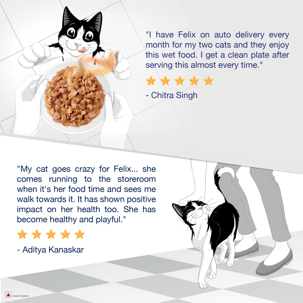 Purina Felix Tuna with Jelly Complete and Balanced Kitten Wet Food - Image 9