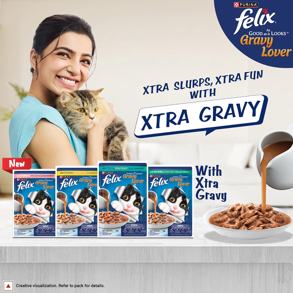 Purina Felix Gravy Lover Salmon Chunks Adult Complete and Balanced Cat Wet Food - Image 2