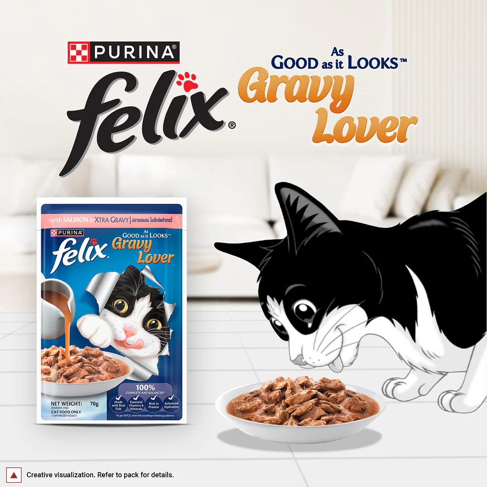 Purina Felix Gravy Lover Salmon Chunks Adult Complete and Balanced Cat Wet Food - Image 5