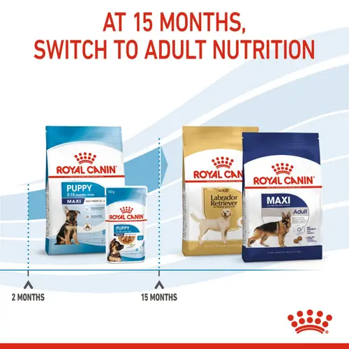 Royal Canin Maxi Puppy Dog Dry Food (4kg) and Bayer Drontal Puppy Deworming Suspension (20mL) - Image 10