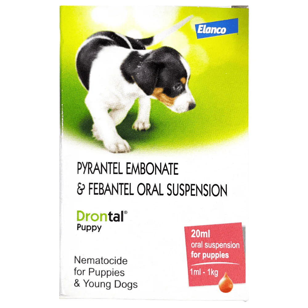 Royal Canin Maxi Puppy Dog Dry Food (4kg) and Bayer Drontal Puppy Deworming Suspension (20mL) - Image 3