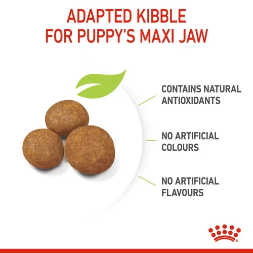 Royal Canin Maxi Puppy Dog Dry Food (4kg) and Bayer Drontal Puppy Deworming Suspension (20mL) - Image 5