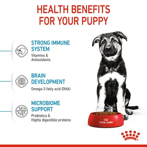 Royal Canin Maxi Puppy Dog Dry Food (4kg) and Bayer Drontal Puppy Deworming Suspension (20mL) - Image 7