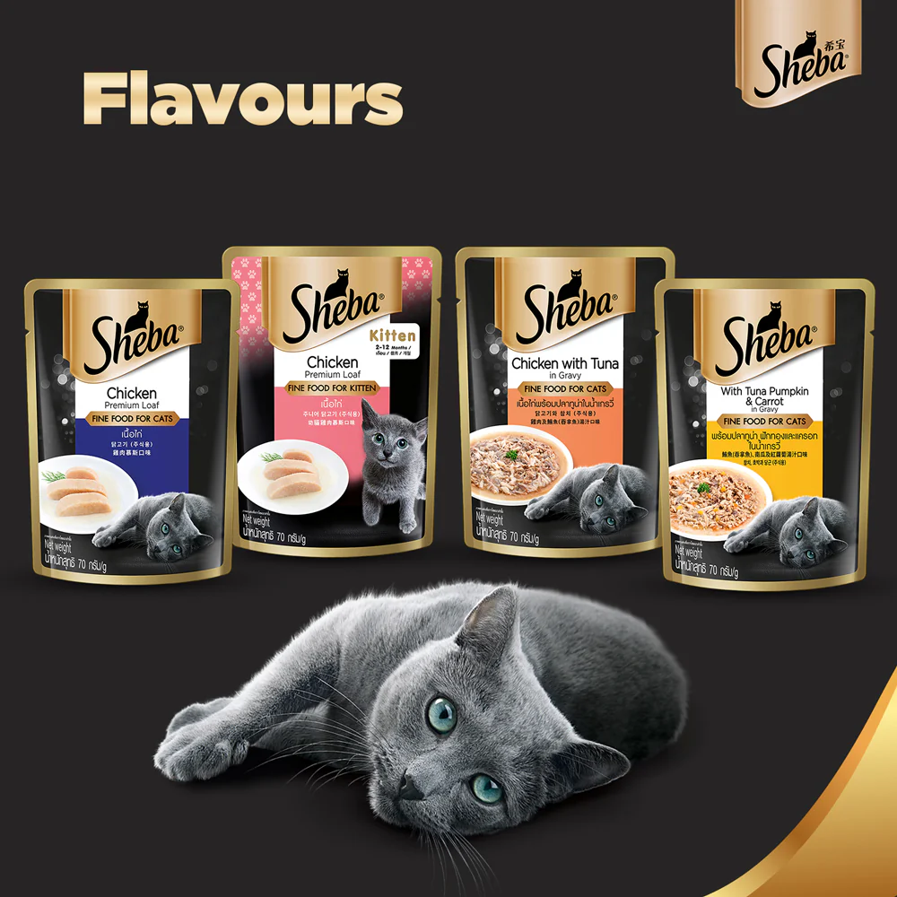 Sheba Chicken Loaf Rich Premium Kitten (2 to 12 Months) Fine Cat Wet Food - Image 10