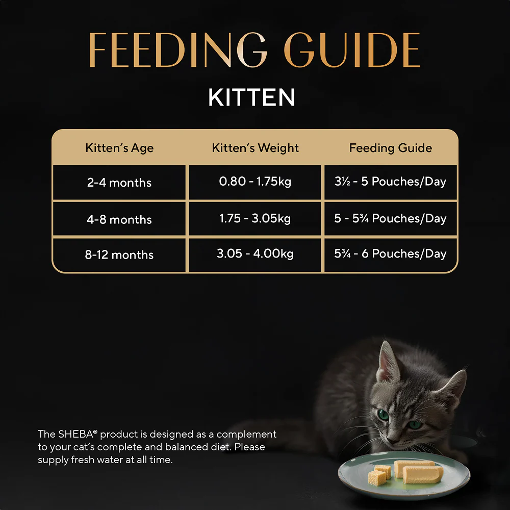 Sheba Maguro Pate Rich Premium Kitten Cat Wet Food - Image 10
