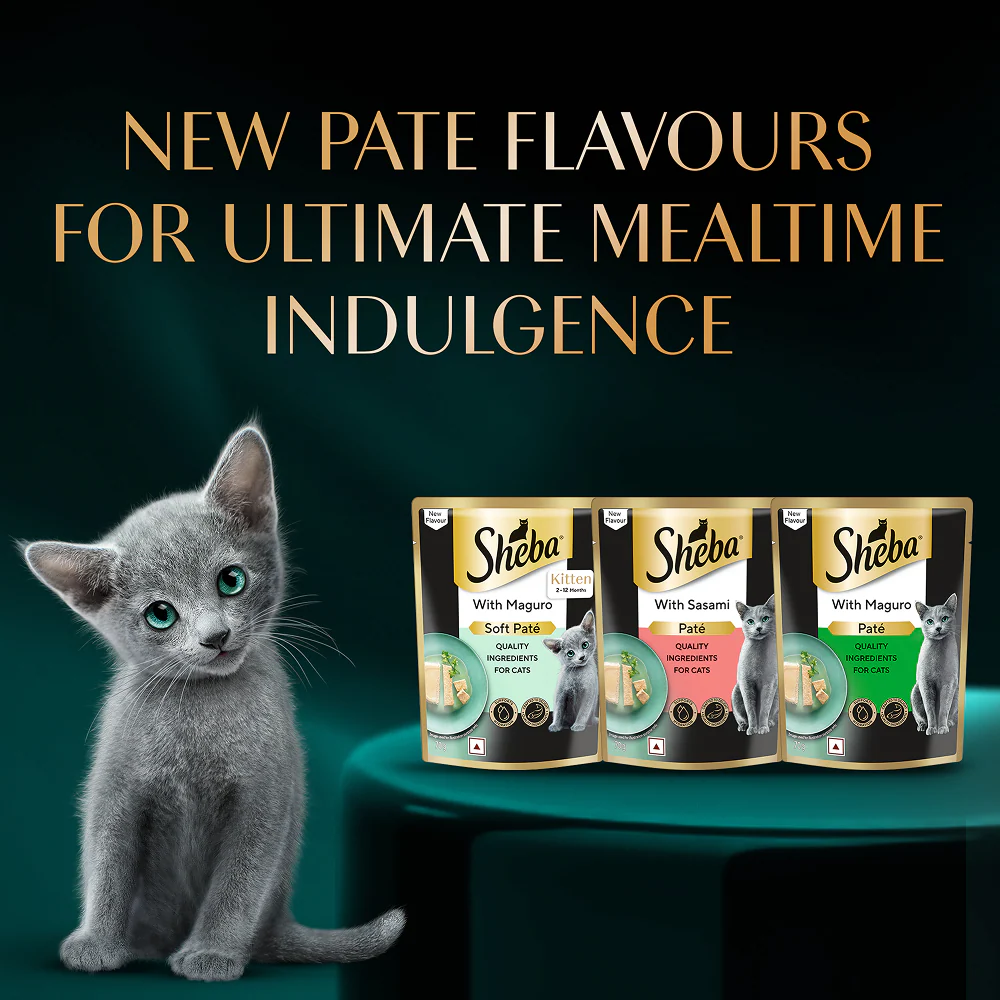 Sheba Maguro Pate Rich Premium Kitten Cat Wet Food - Image 12