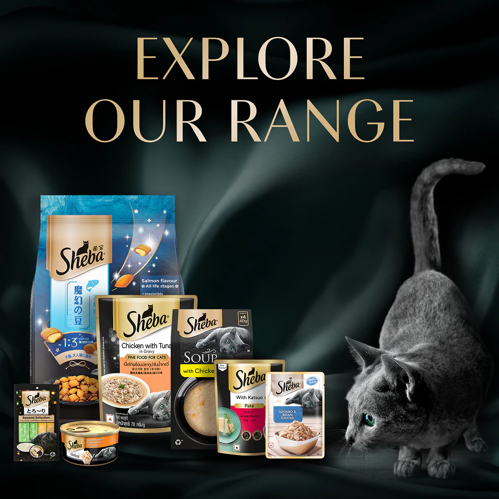 Sheba Maguro Pate Rich Premium Kitten Cat Wet Food - Image 13