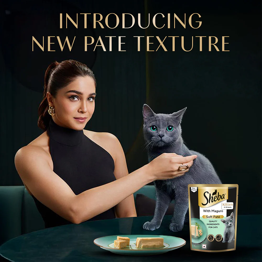 Sheba Maguro Pate Rich Premium Kitten Cat Wet Food - Image 6