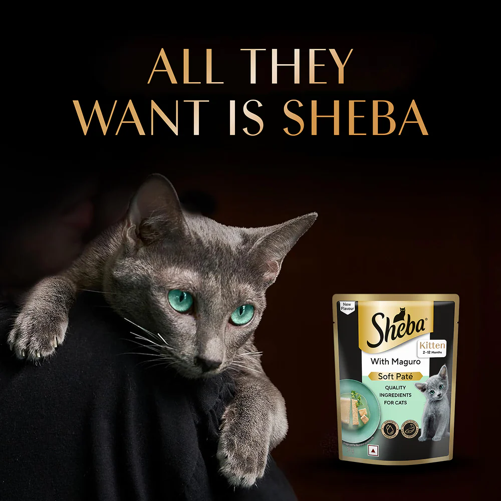 Sheba Maguro Pate Rich Premium Kitten Cat Wet Food - Image 7