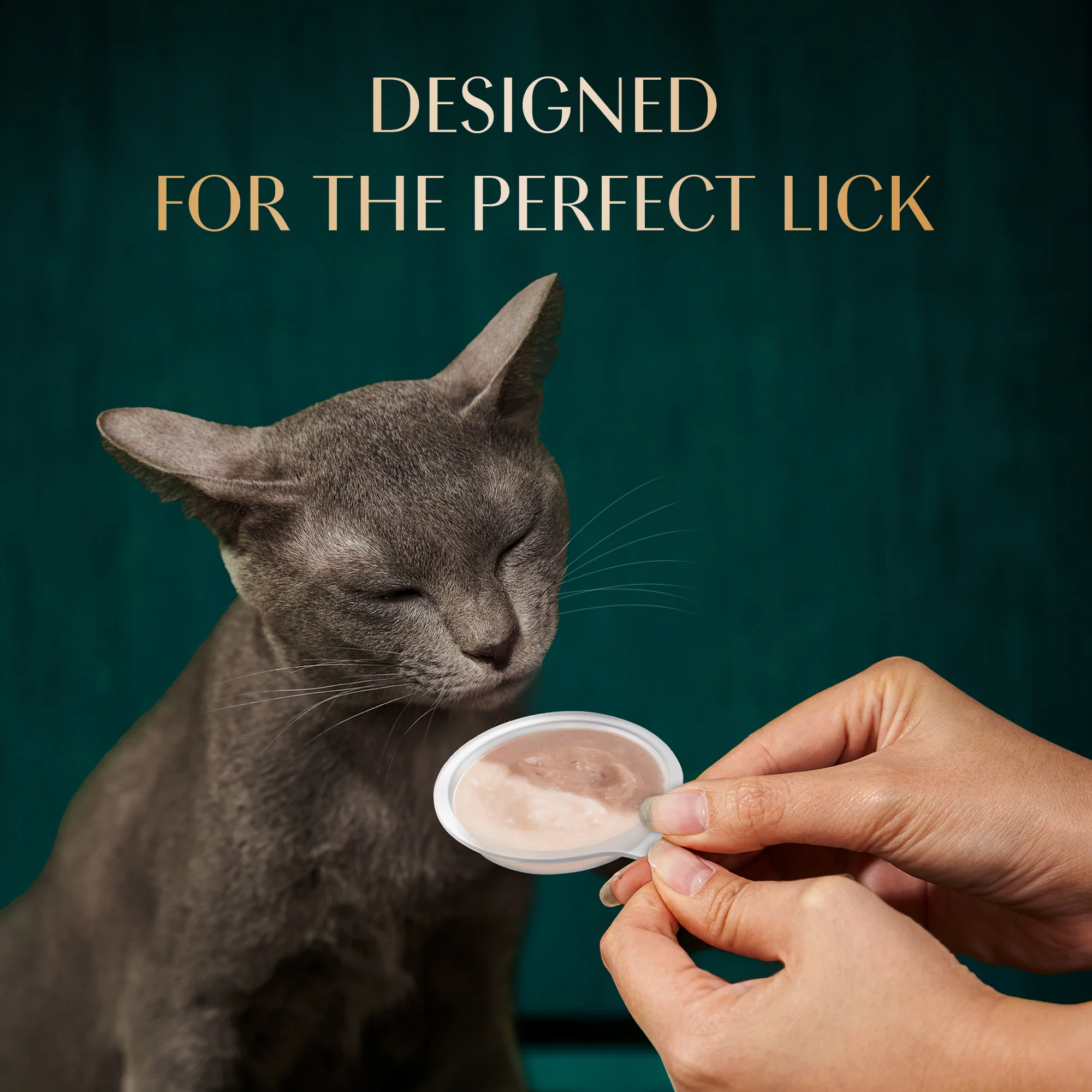 Sheba Melty Spoons Maguro Flavour with Tuna Cream Lickable Creamy Cat Treats - Image 4
