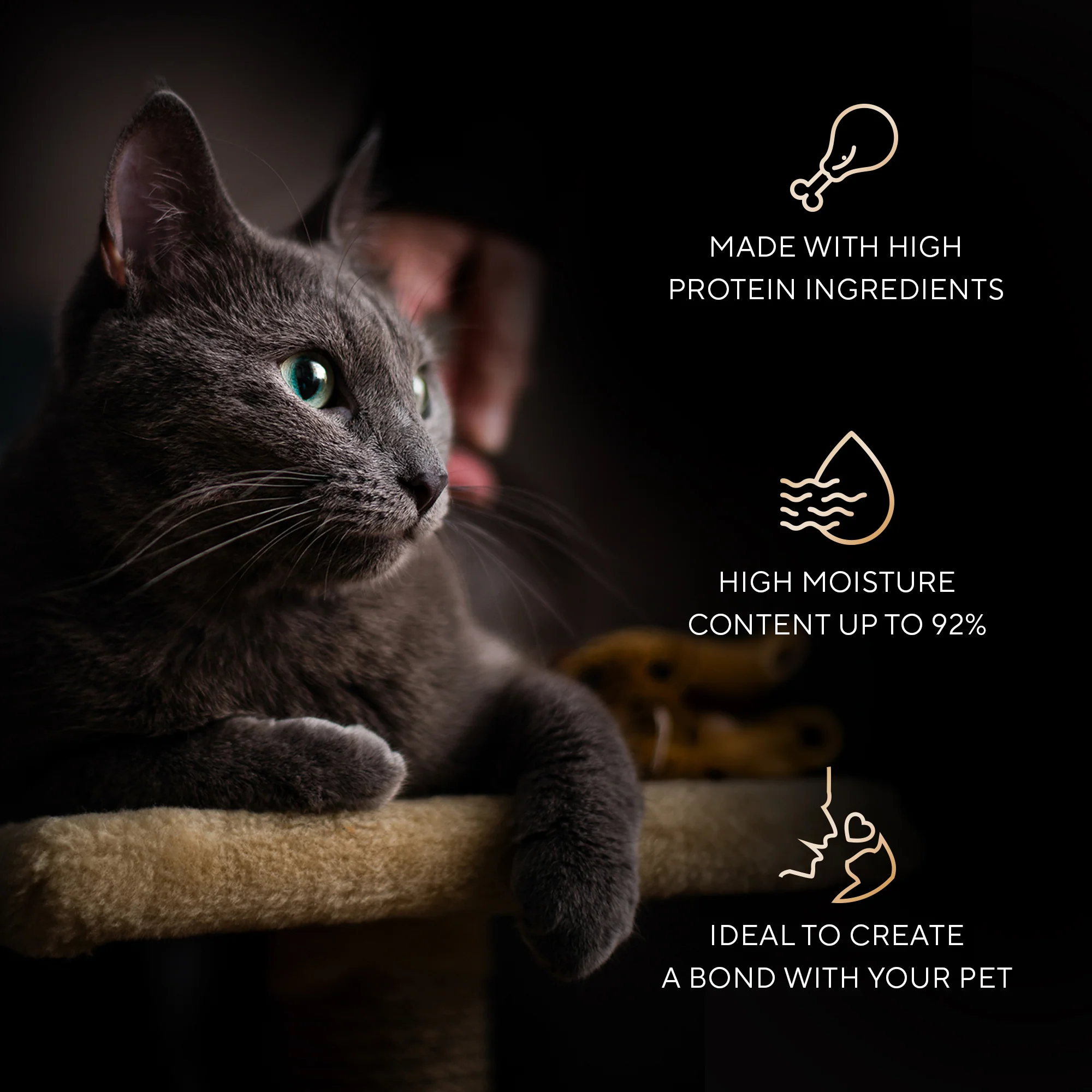 Sheba Melty Spoons Maguro Flavour with Tuna Cream Lickable Creamy Cat Treats - Image 6