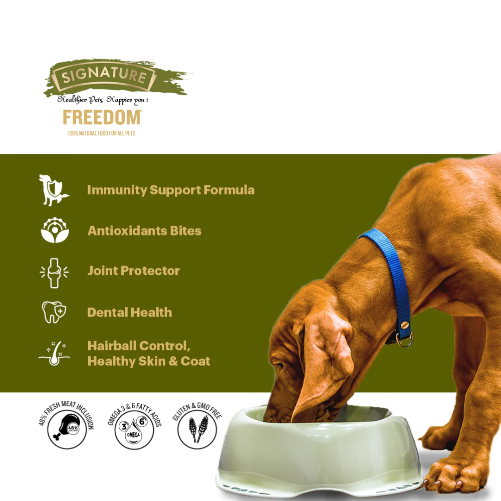 Signature Freedom Chicken and Rice Recipe Mother and Puppy Starter Dog Dry Food - Image 2