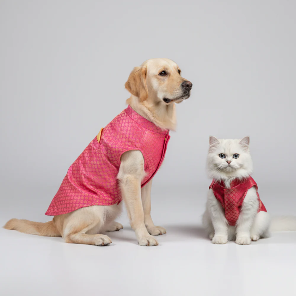 Skatrs Brocade Gold Printed Sherwani for Dogs and Cats (Pink) - Image 14
