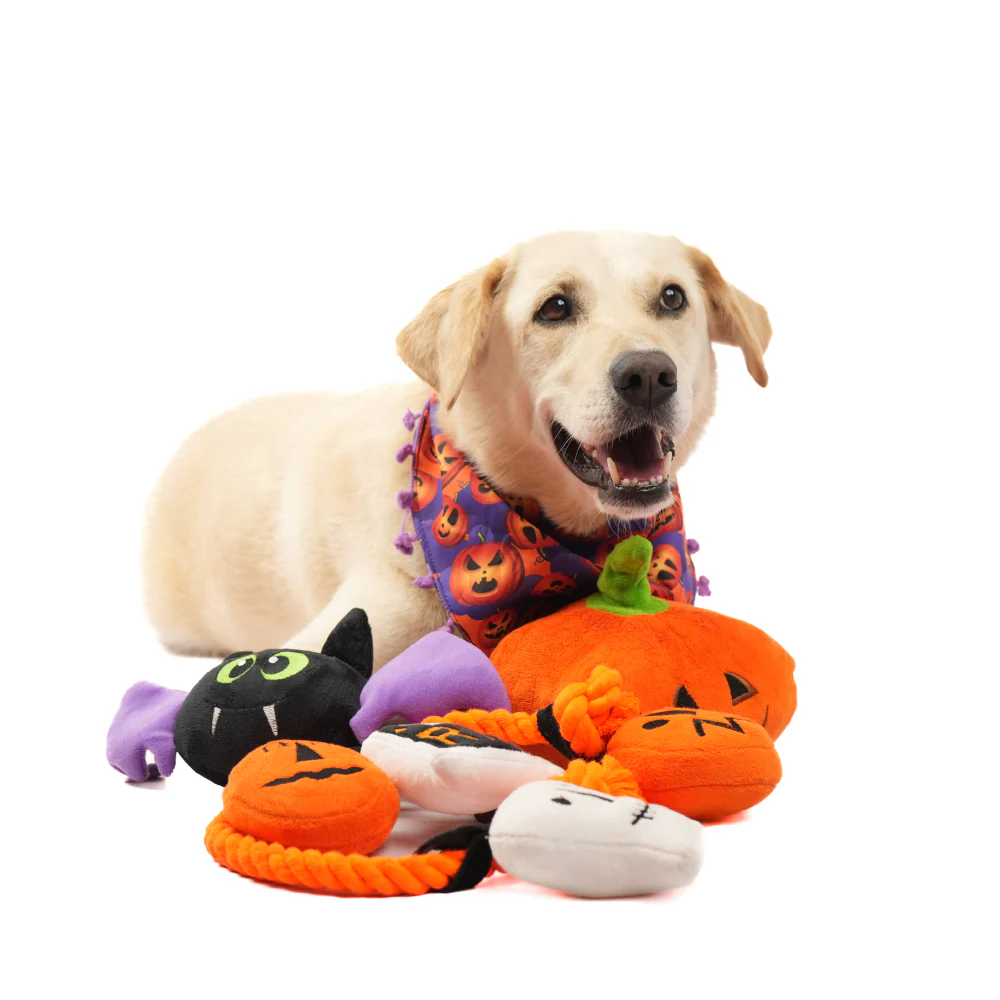 Skatrs Fang tastic Bat Plush Toy for Dogs - Image 4