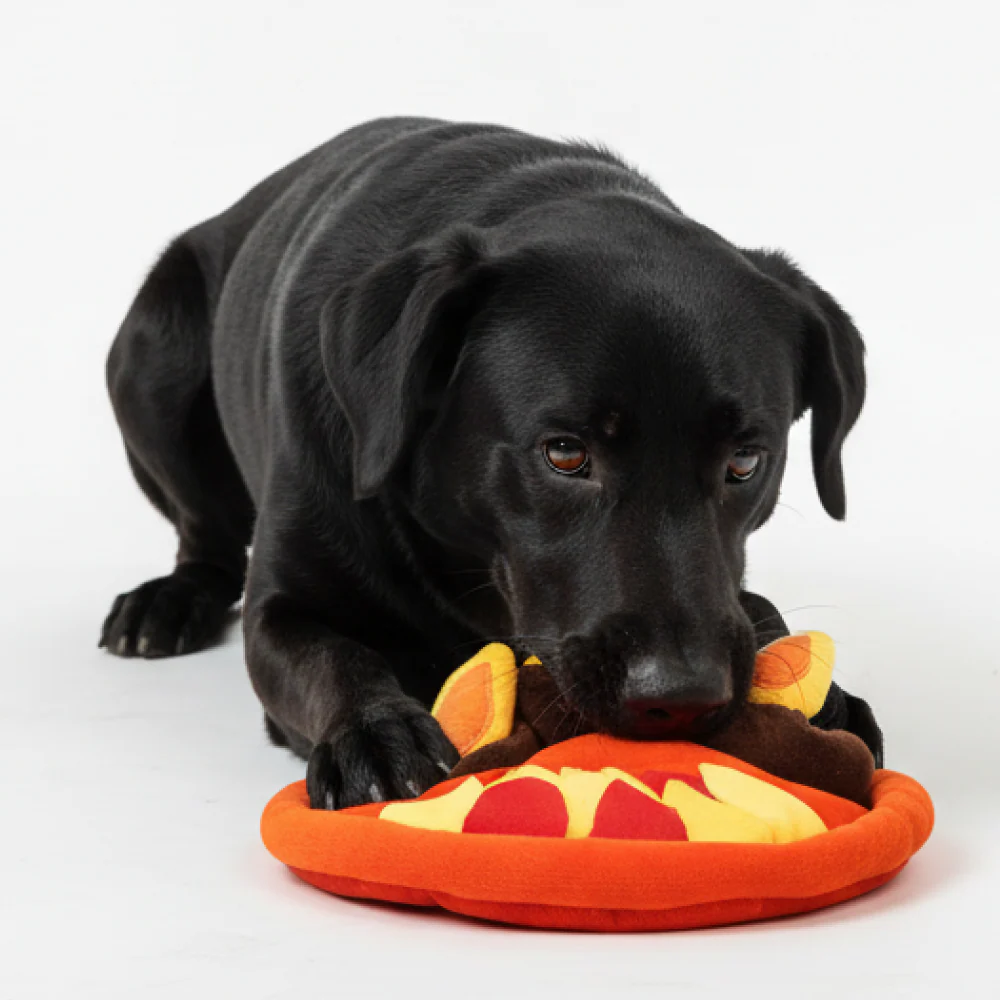 Skatrs Festi Sniff Diya Mat for Dogs