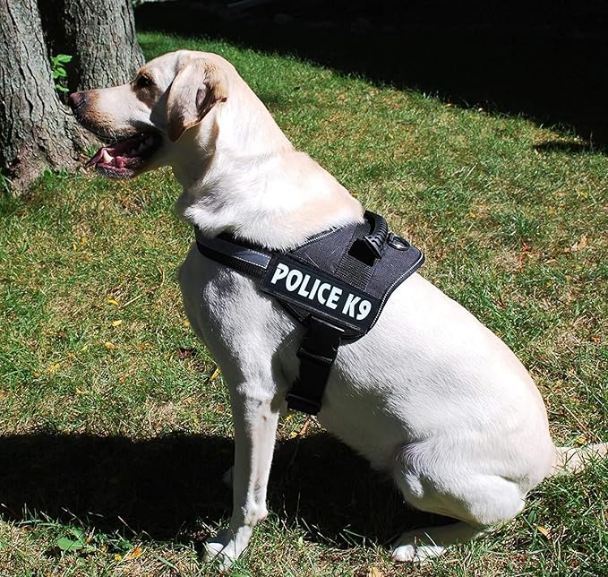 Skatrs Police K9 Harness for Dogs (Orange) - Image 5