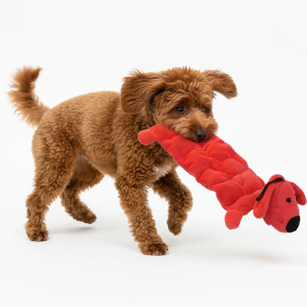 Skatrs Soft & Fun Squeaky Plush Mat Toy for Dogs