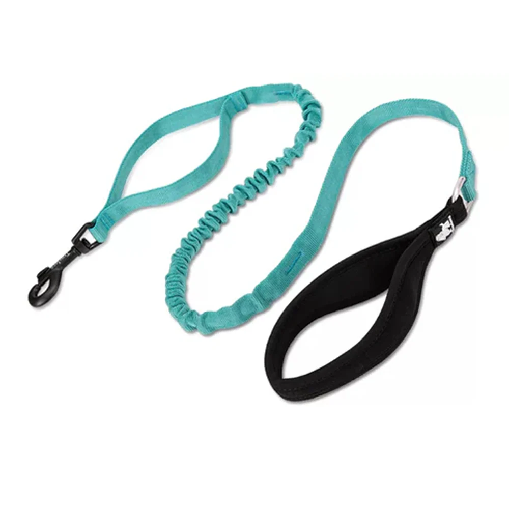 Truelove Bunjee Leash for Dogs (Baltic)
