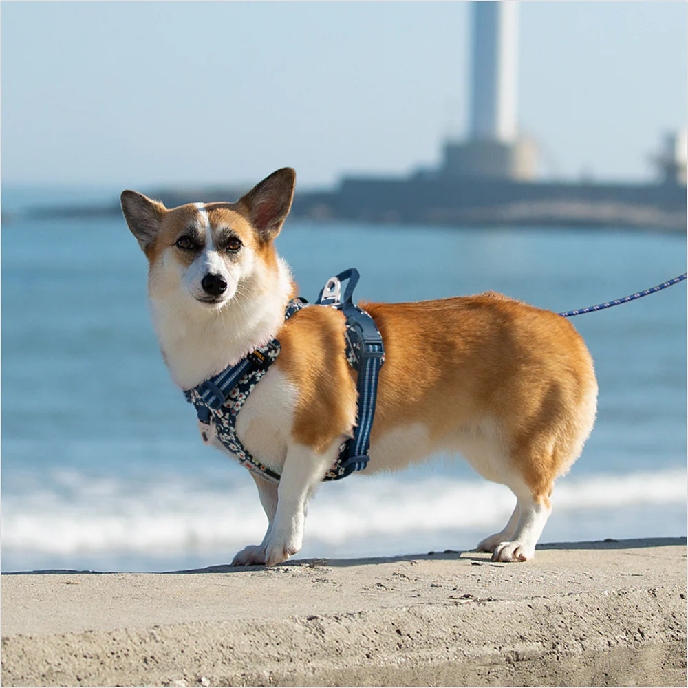 Truelove Floral No Pull Pet Harness for Dogs (Navy Blazer) - Image 8