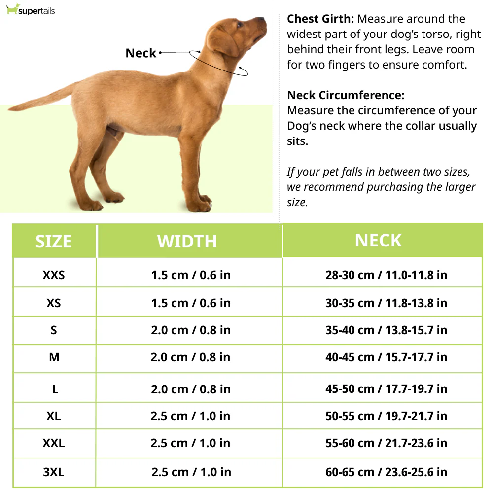 Truelove Neo Padded Collar for Dogs (Black/Orange) - Image 4