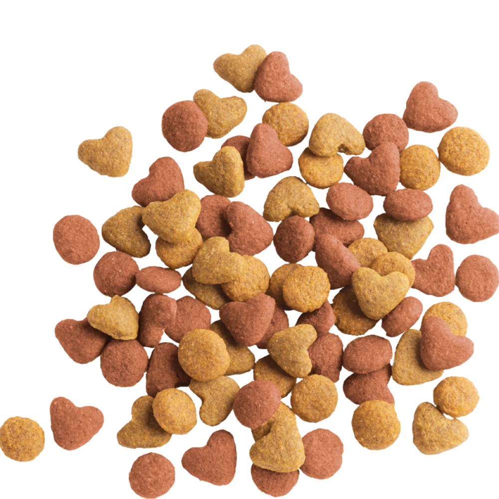 Versele Laga Lara Chicken Kitten Dry Food (Limited Shelf Life) - Image 2