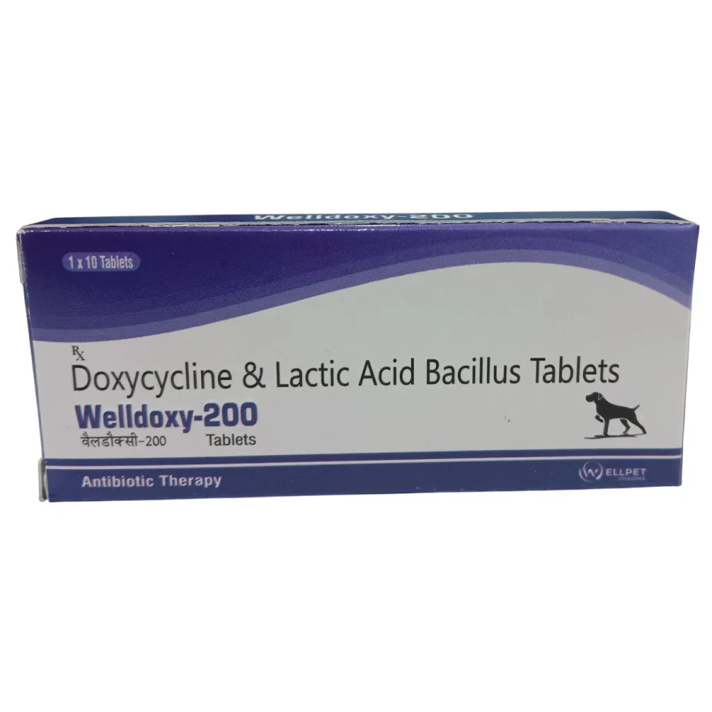 Wellpet Welldoxy 200mg (Doxycycline) Tablets for Dogs