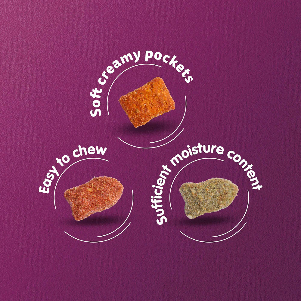 Whiskas Adult Cat Food Combo |Ocean Fish Dry & Salmon in Gravy Wet - Image 11