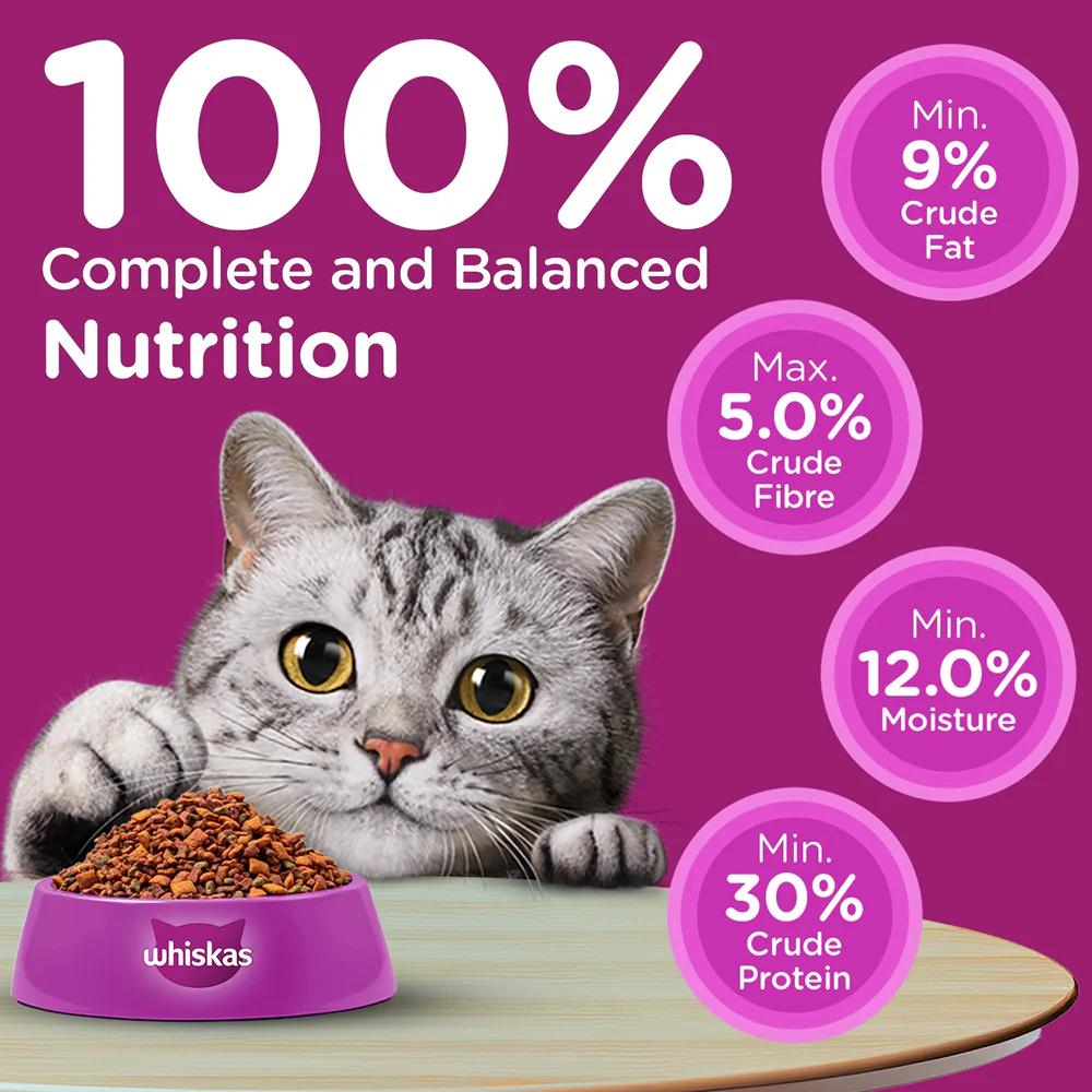 Whiskas Adult Cat Food Combo |Ocean Fish Dry & Salmon in Gravy Wet - Image 12