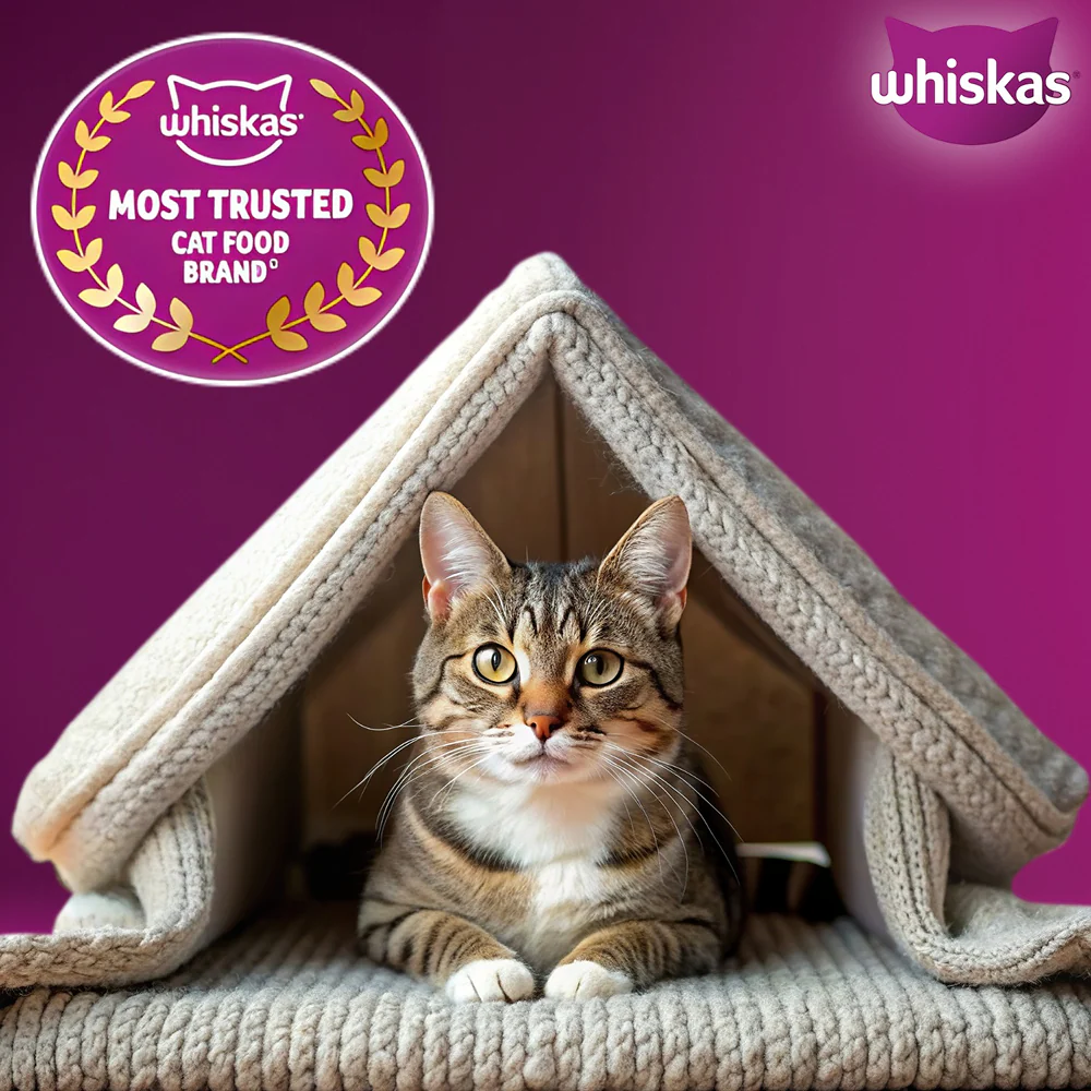 Whiskas Adult Cat Food Combo |Ocean Fish Dry & Salmon in Gravy Wet - Image 13