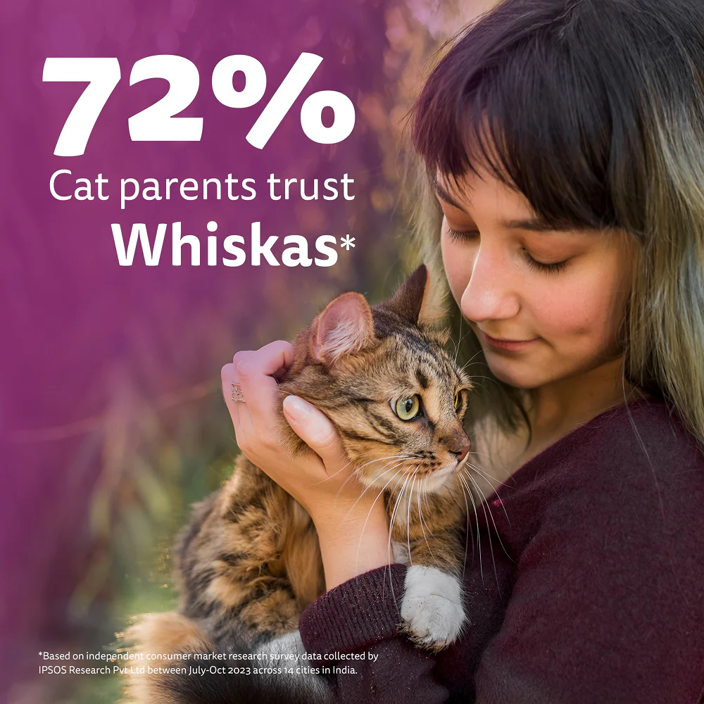 Whiskas Adult Cat Food Combo |Ocean Fish Dry & Salmon in Gravy Wet - Image 22
