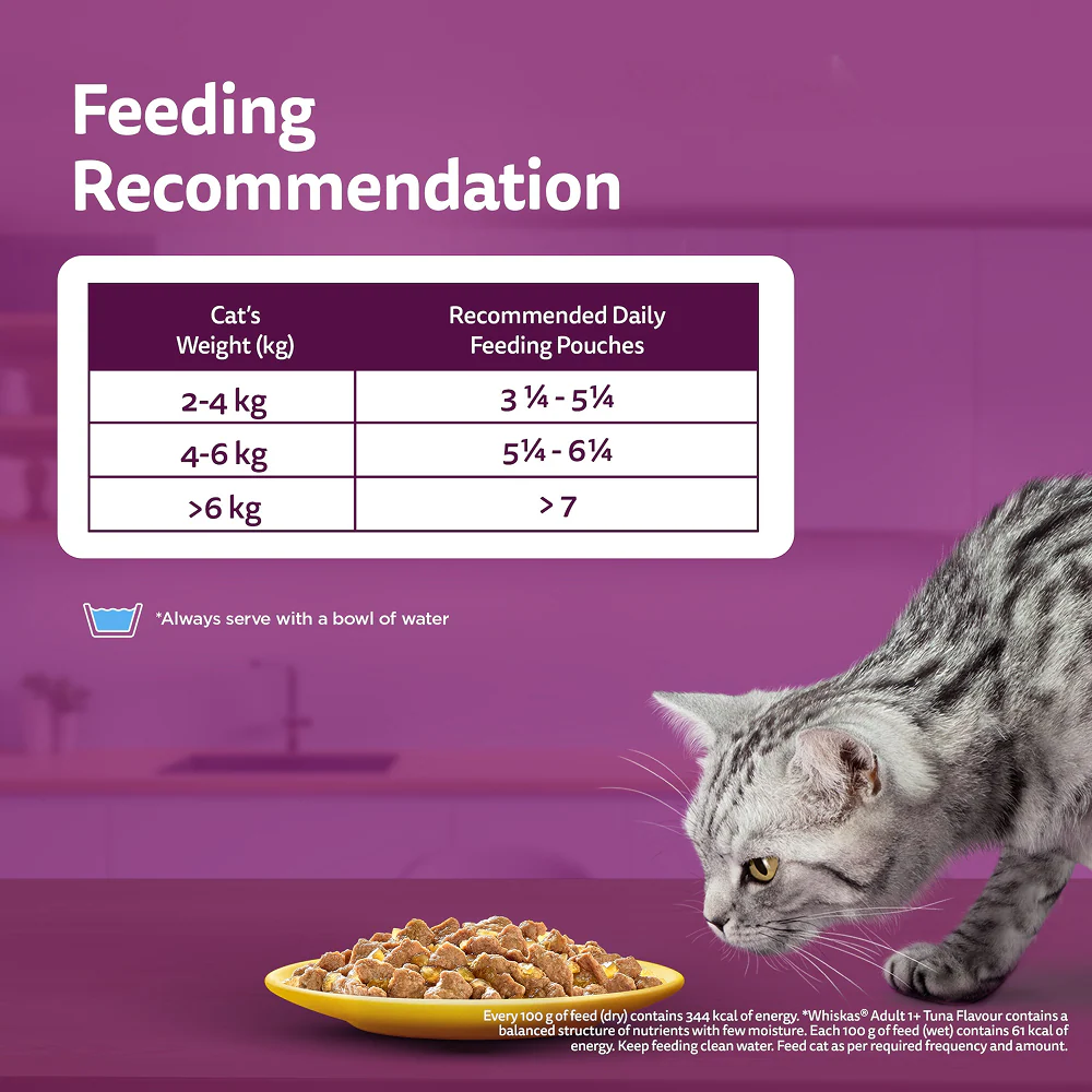 Whiskas Adult Cat Food Combo |Ocean Fish Dry & Salmon in Gravy Wet - Image 26