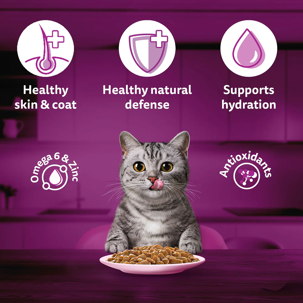 Whiskas Adult Cat Food Combo |Ocean Fish Dry & Salmon in Gravy Wet - Image 32