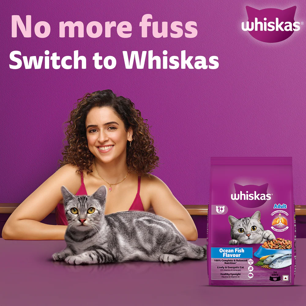 Whiskas Adult Cat Food Combo |Ocean Fish Dry & Salmon in Gravy Wet - Image 5
