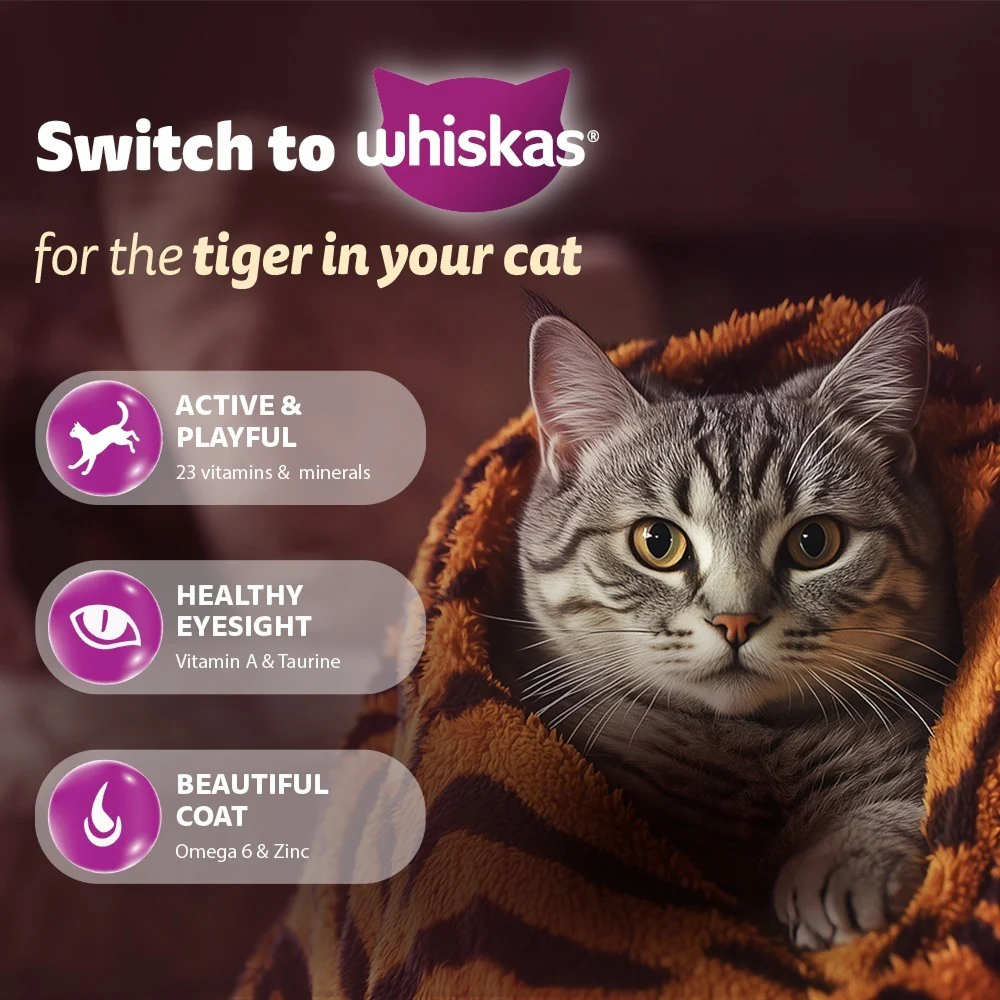 Whiskas Adult Cat Food Combo |Ocean Fish Dry & Salmon in Gravy Wet - Image 8