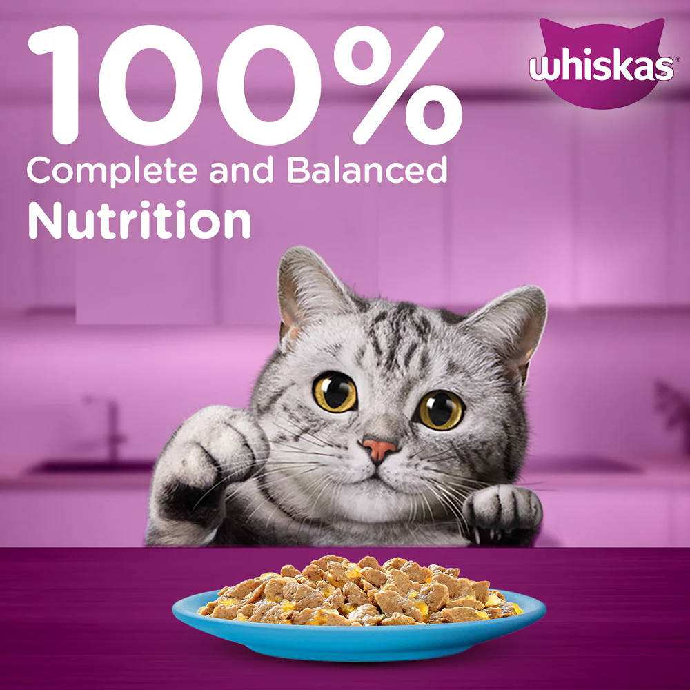 Whiskas Adult Complete Meal Combo |Tuna Dry & Wet Cat Food - Image 33