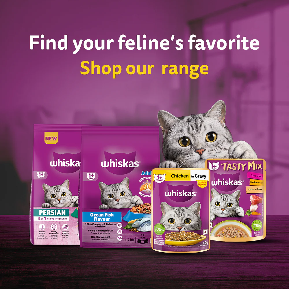 Whiskas Adult Wet Cat Food Combo |Chicken, Tuna & Seafood (Jelly & Gravy) - Image 18