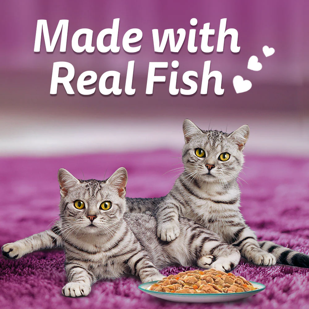 Whiskas Adult Wet Cat Food Combo |Chicken, Tuna & Seafood (Jelly & Gravy) - Image 4