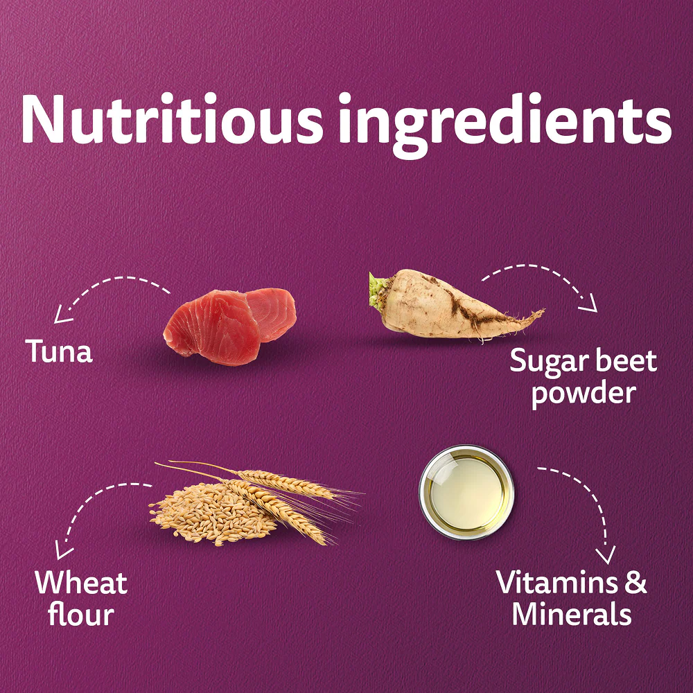 Whiskas Kitten Cat Food Combo |Dry Food & Tuna in Jelly Wet - Image 21