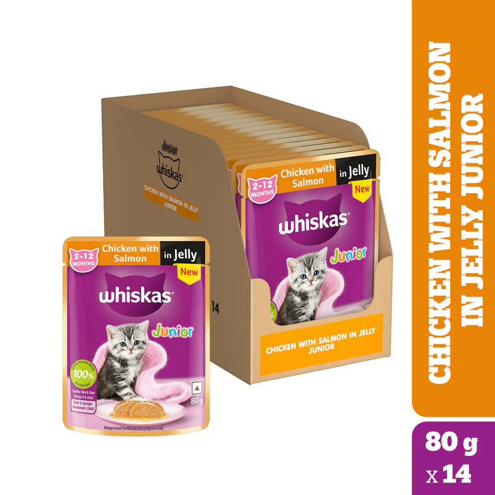 Whiskas Kitten Cat Food Combo |Ocean Fish Dry & Chicken with Salmon in Jelly in Gravy Wet - Image 37