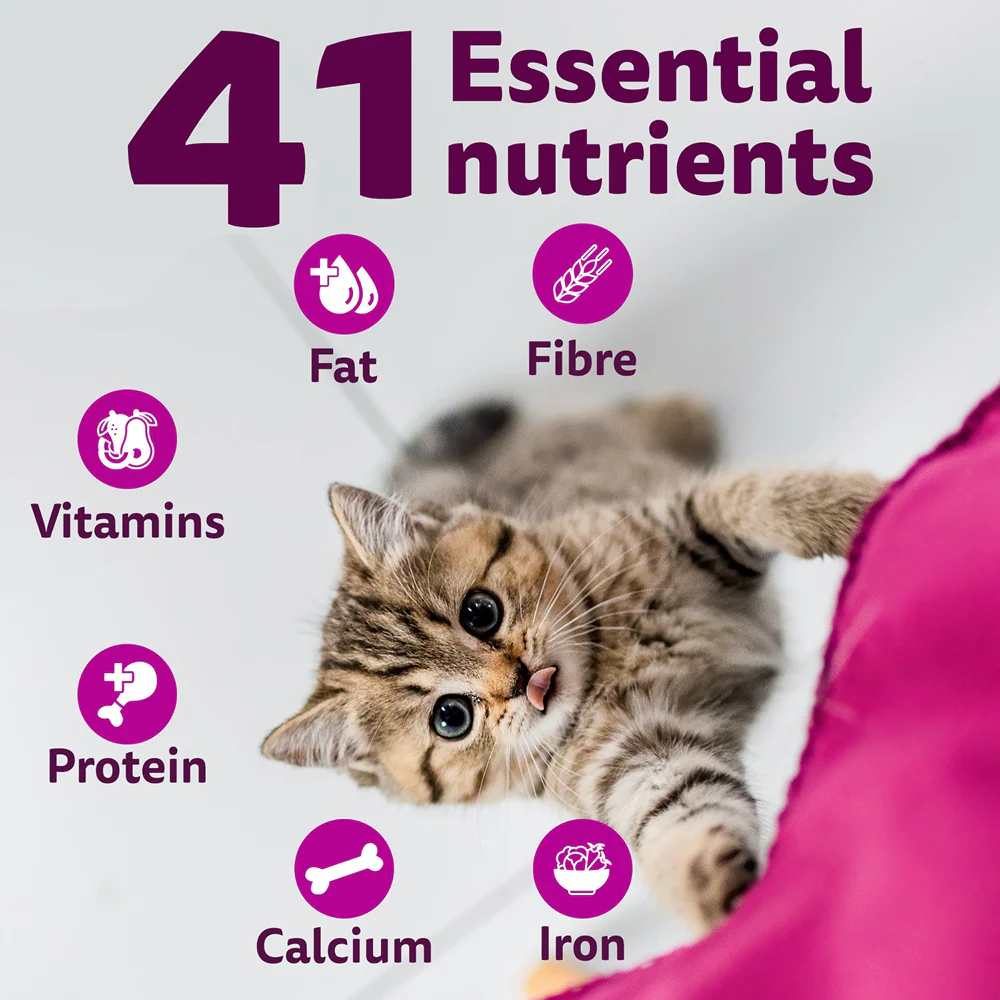 Whiskas Kitten Cat Food Combo |Ocean Fish Dry & Chicken with Salmon in Jelly in Gravy Wet - Image 6